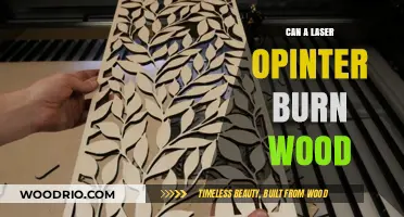 Precision and Power: Can a Laser Pointer Really Burn Wood?