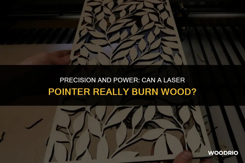 can a laser opinter burn wood