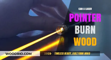 Exploring the Power of Lasers: Can a Pointer Really Burn Wood?
