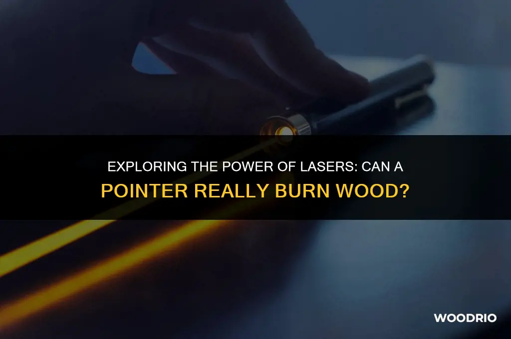 can a laser pointer burn wood