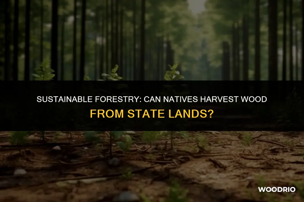 can a native cut wood off state land
