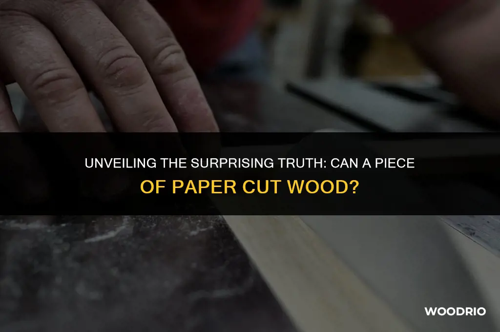 can a piece of paper cut wood
