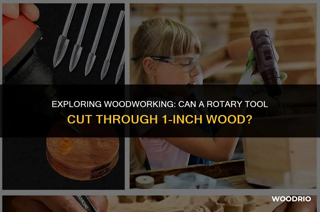 can a rotary cut 1 wood
