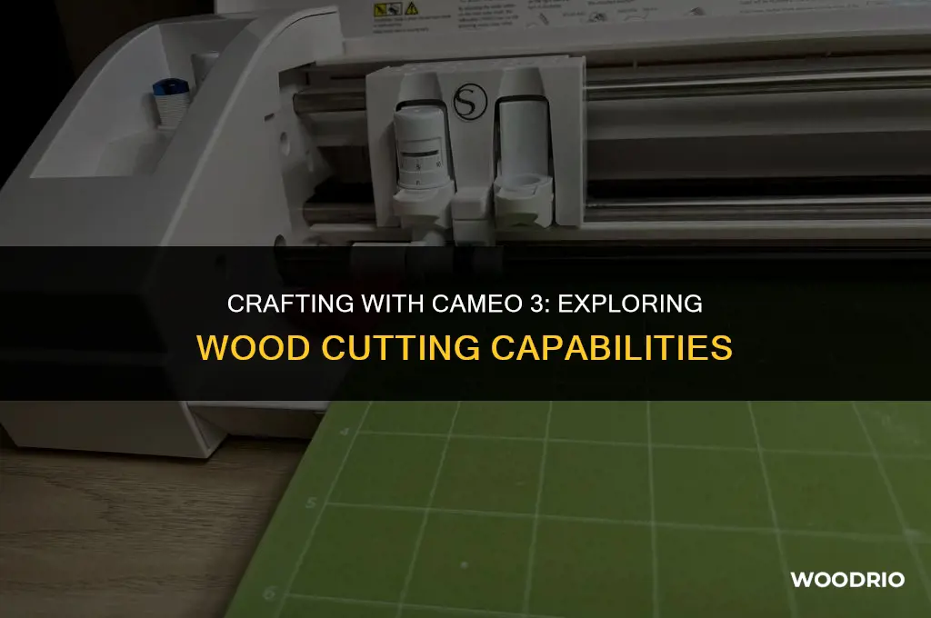can a silhouette cameo 3 cut wood