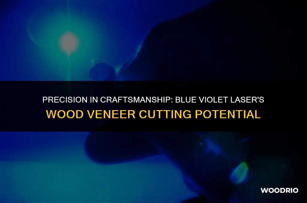 can a small blue violet laser cut wood veneer