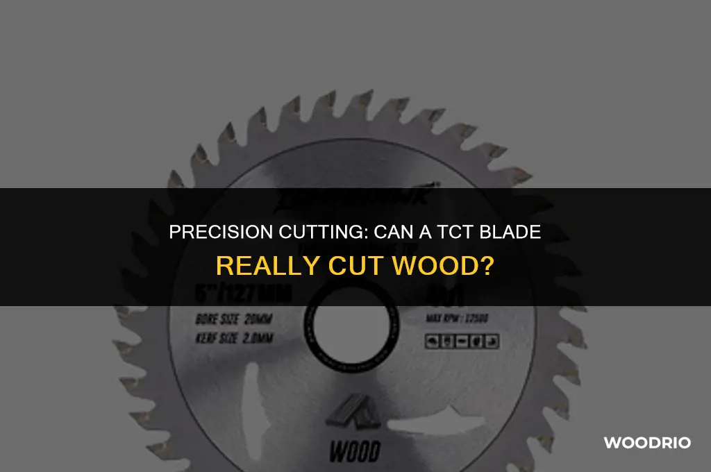 can a tct blade cut wood
