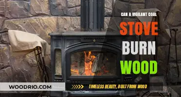 Exploring the Dual Fuel Potential: Can a Coal Stove Efficiently Burn Wood?