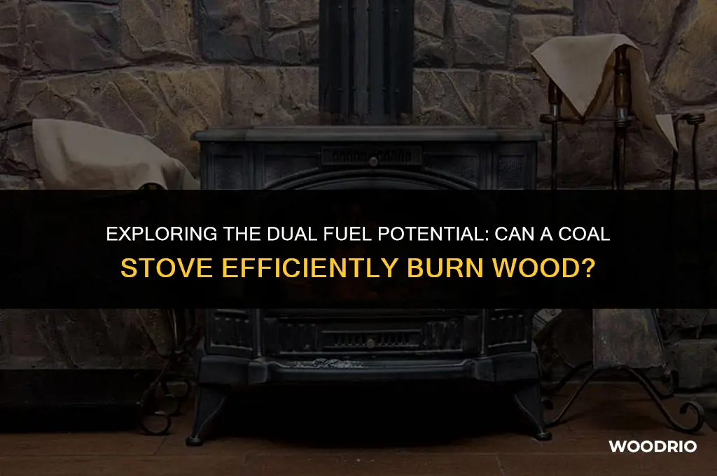 can a vigilant coal stove burn wood