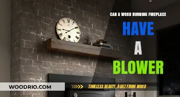 Enhancing Warmth: The Benefits of Adding a Blower to Your Wood-Burning Fireplace