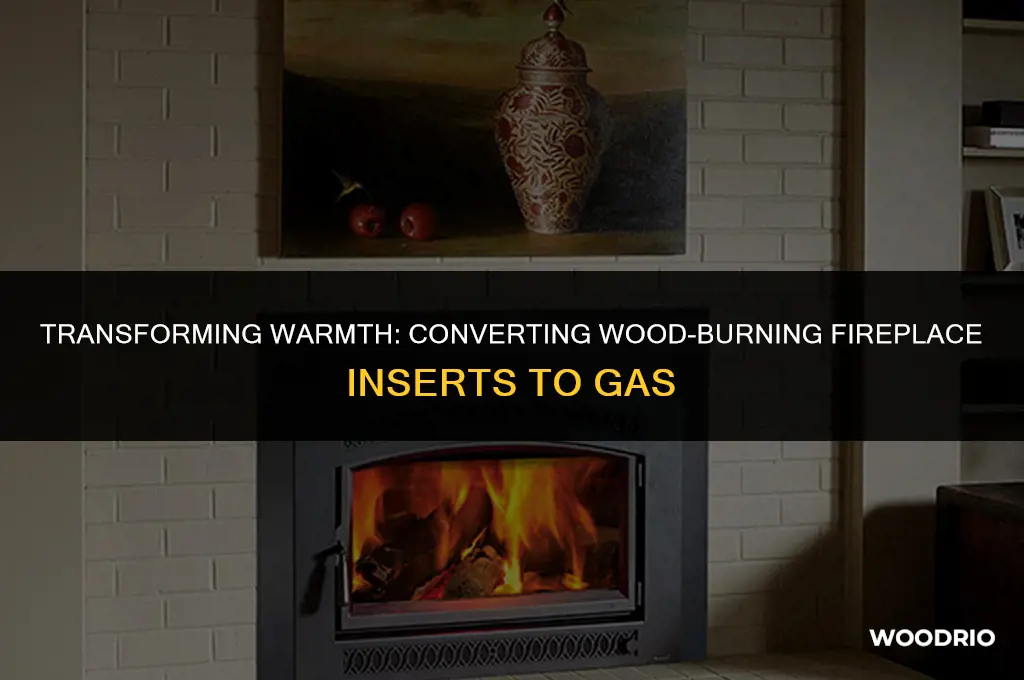 can a wood burning fireplace insert be converted to gas