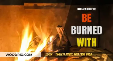 Exploring the Possibilities: What Can You Burn in a Wood Fire?