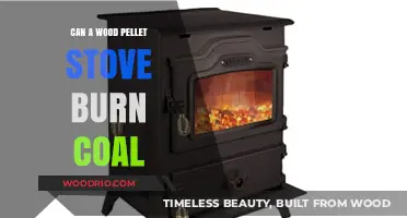Exploring Fuel Flexibility: Can a Wood Pellet Stove Burn Coal?