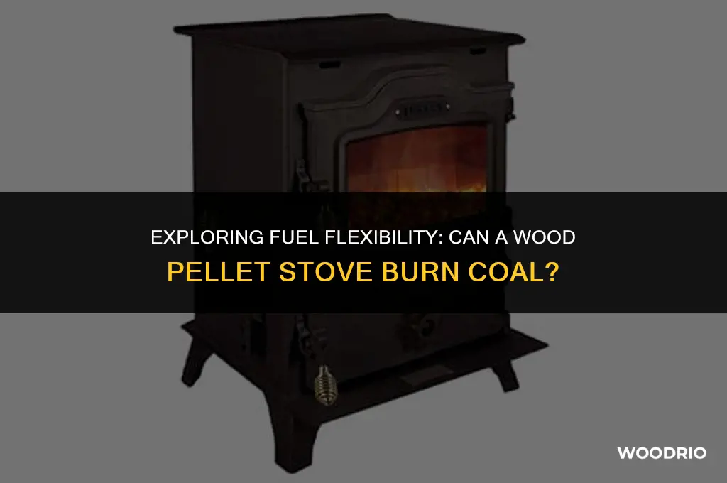 can a wood pellet stove burn coal