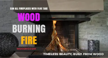 Exploring Fireplace Versatility: Can Flue-Equipped Models Handle Wood Burning?