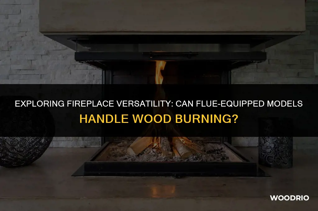 can all fireplaces with flue take wood burning fire