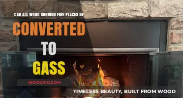Exploring Fireplace Conversions: Can All Wood-Burning Models Switch to Gas?
