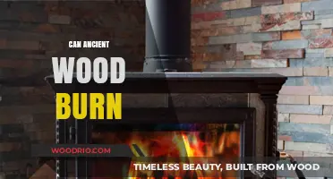 Exploring the Combustibility of Ancient Timber: A Historical Perspective