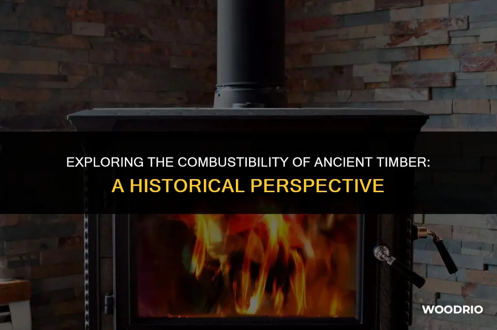 can ancient wood burn