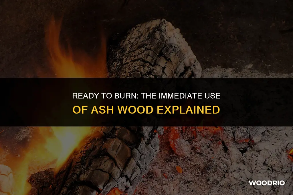 can ash wood be burned right away