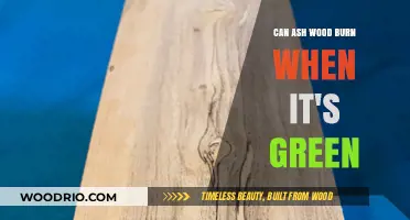 Exploring the Combustibility of Freshly Cut Ash Wood