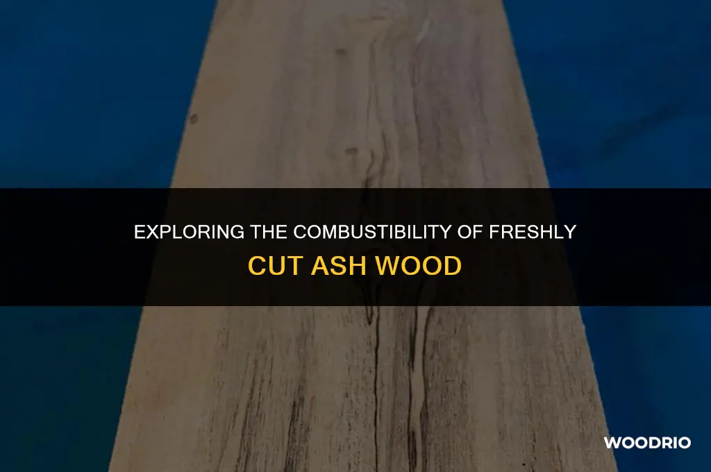 can ash wood burn when it