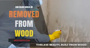 Effective Strategies to Eliminate Black Mold from Wood Surfaces