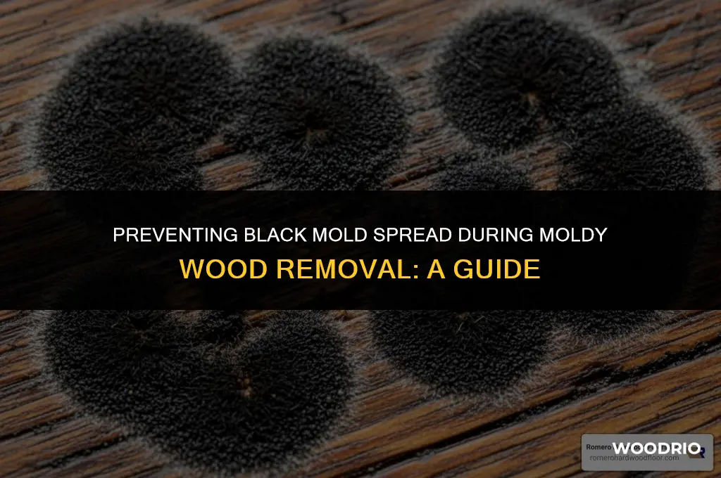 can black mold spread from sawdust when removing moldy wood