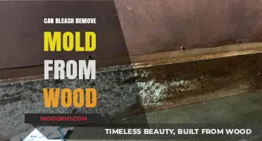 Effective Mold Removal from Wood: Does Bleach Really Work?