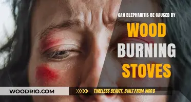 Exploring the Link: Can Wood Burning Stoves Cause Blepharitis?