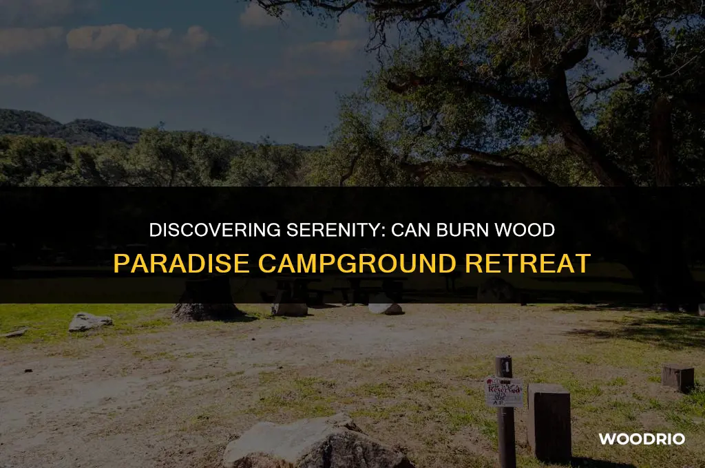 can burn wood paradise campground