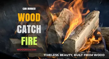 Exploring the Combustibility of Burned Wood: A Scientific Analysis