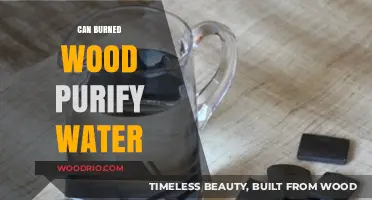 Nature's Filter: Exploring the Potential of Burned Wood in Water Purification