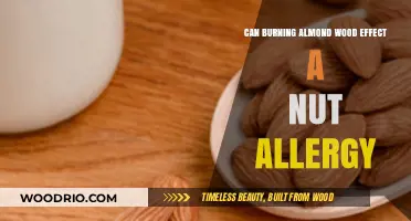 Exploring the Impact of Burning Almond Wood on Nut Allergies