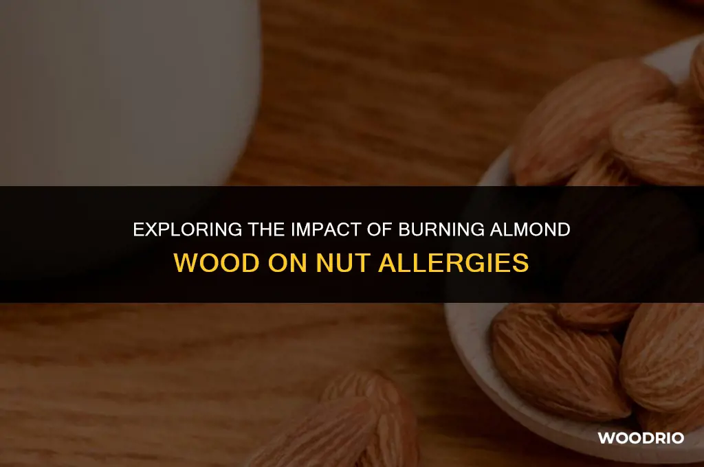 can burning almond wood effect a nut allergy