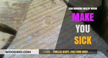 The Hidden Dangers of Burning Moldy Wood: A Health Guide