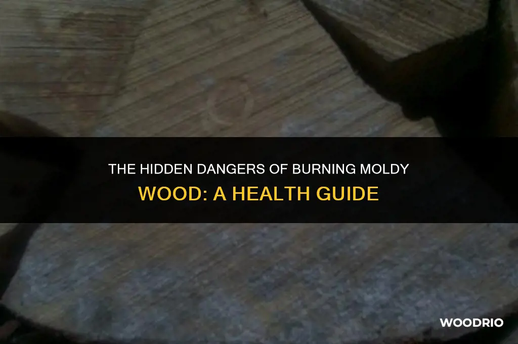 can burning moldy wood make you sick
