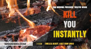 The Lethal Risk of Burning Pressure-Treated Wood: Instant Death Possible
