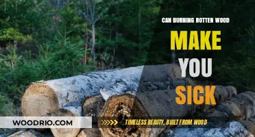 The Hidden Dangers of Burning Rotten Wood: A Health Guide