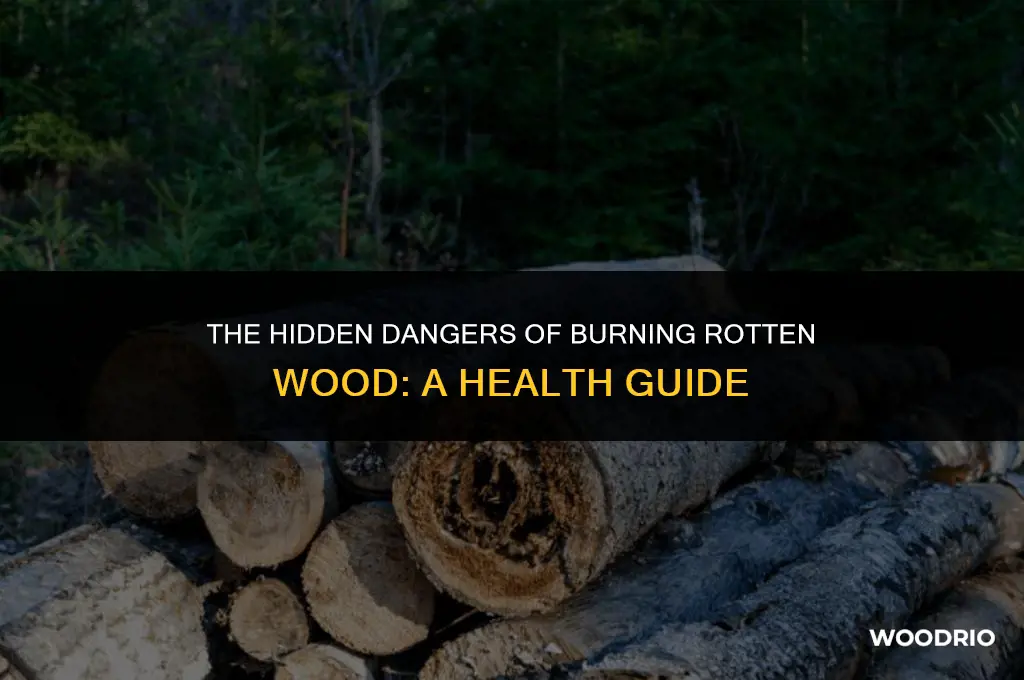 can burning rotten wood make you sick