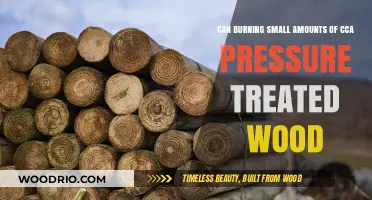 Exploring the Safety and Impact of Burning CCA-Treated Wood