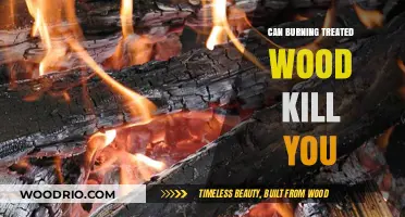The Hidden Dangers of Burning Treated Wood: A Lethal Mistake?