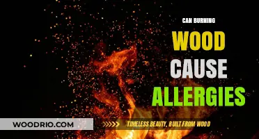 The Hidden Culprit: How Burning Wood Can Trigger Allergies