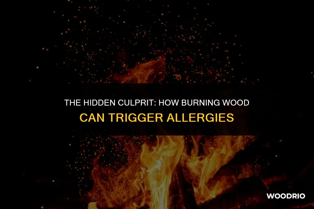 can burning wood cause allergies