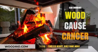 The Hidden Dangers of Wood Smoke: Exploring the Cancer Risk
