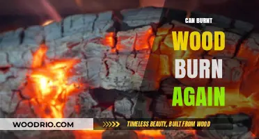 Exploring the Combustibility of Charred Timber: Can Burnt Wood Ignite Again?