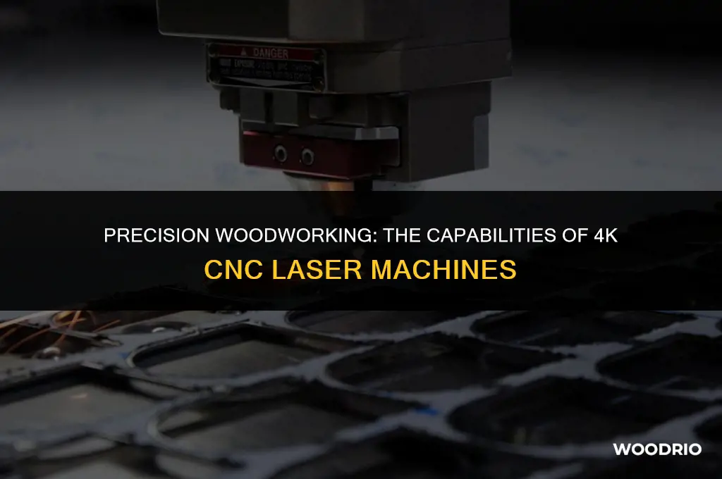 can by 4k cnc laser machine cut wood