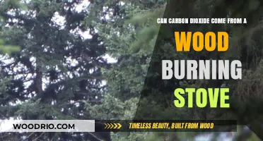 Exploring the Environmental Impact: Wood Stoves and CO2 Emissions