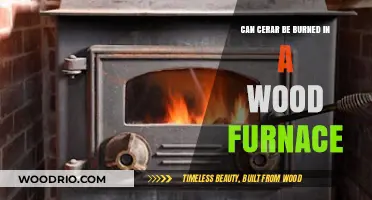 Exploring the Feasibility of Burning Cancer in a Wood Furnace