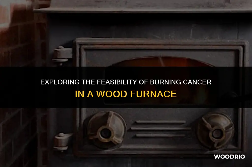 can cerar be burned in a wood furnace