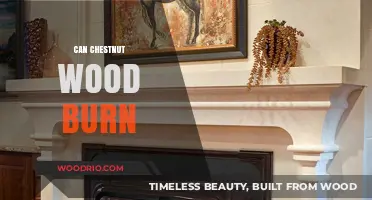 Exploring the Combustibility of Chestnut Wood: A Comprehensive Guide